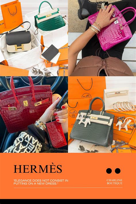 hermes 鱷魚皮|Hermes swift 皮革.